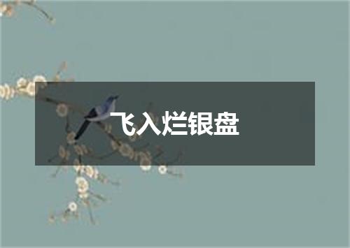 飞入烂银盘