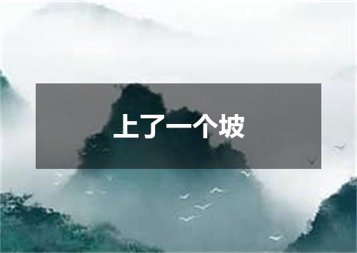 上了一个坡