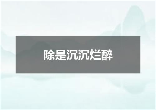除是沉沉烂醉