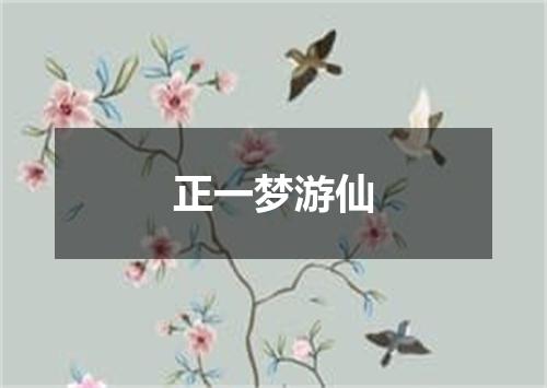 正一梦游仙