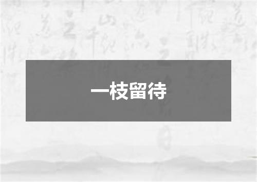 一枝留待
