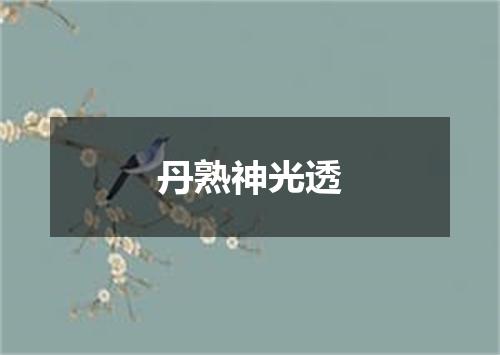 丹熟神光透