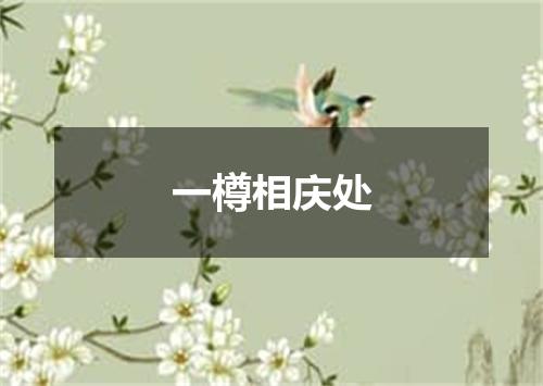 一樽相庆处