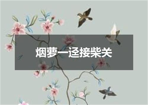烟萝一迳接柴关