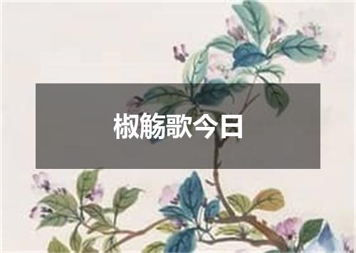 椒觞歌今日