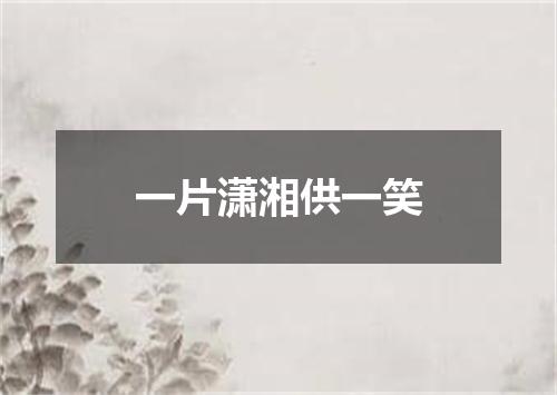 一片潇湘供一笑
