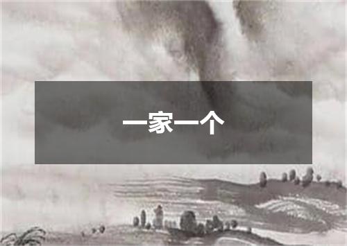 一家一个