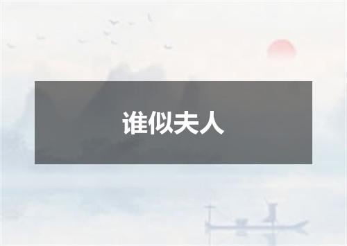 谁似夫人