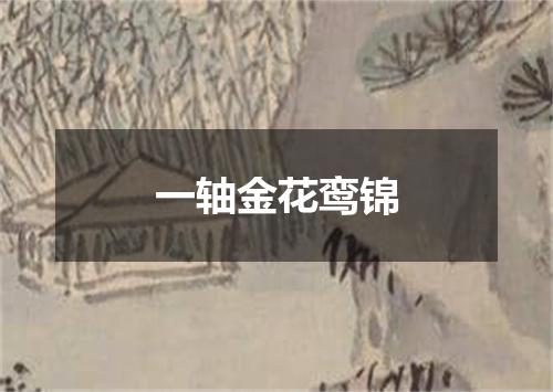 一轴金花鸾锦