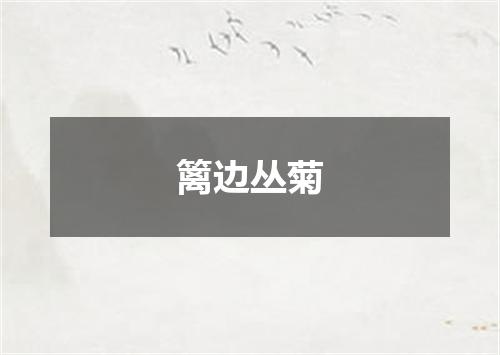 篱边丛菊