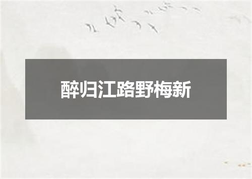醉归江路野梅新