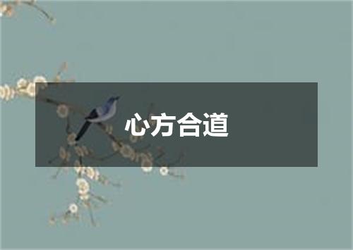 心方合道