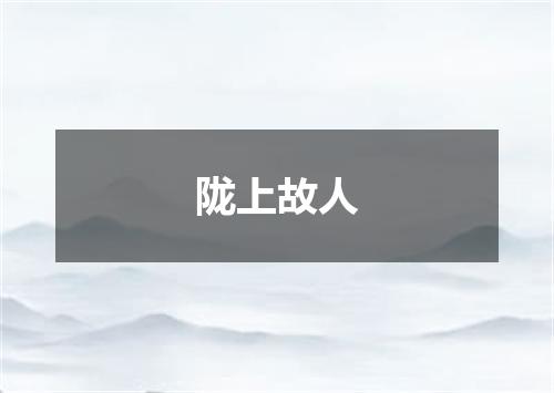 陇上故人