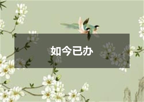 如今已办