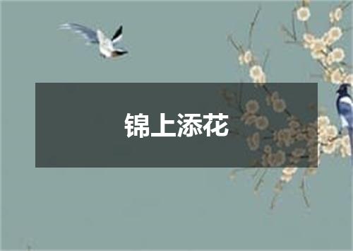 锦上添花