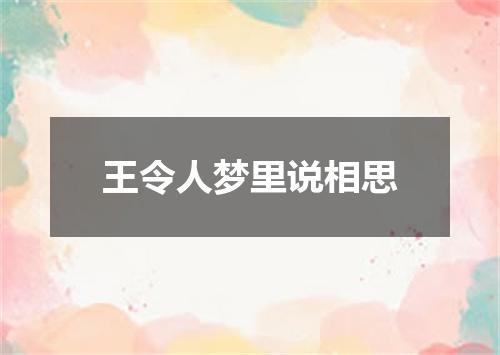 王令人梦里说相思