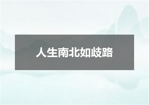 人生南北如歧路
