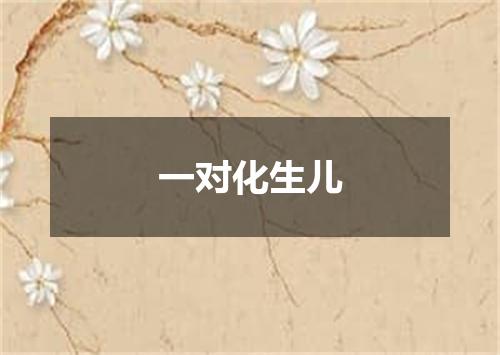 一对化生儿