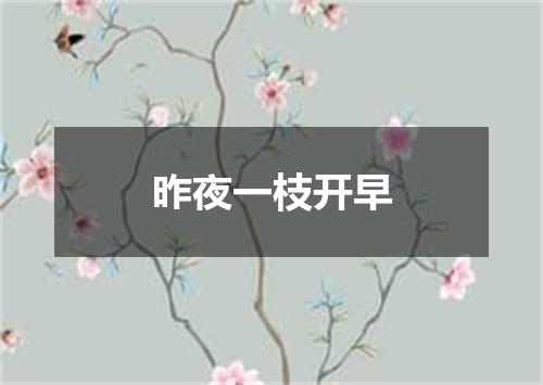 昨夜一枝开早