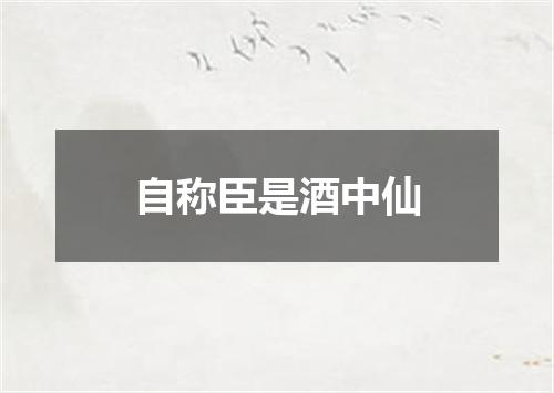自称臣是酒中仙