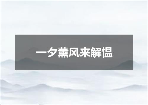 一夕薰风来解愠