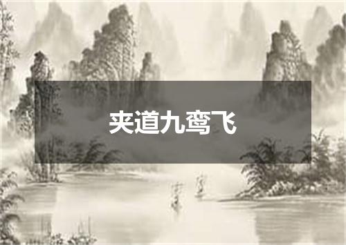 夹道九鸾飞
