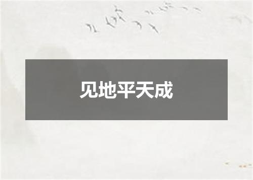 见地平天成
