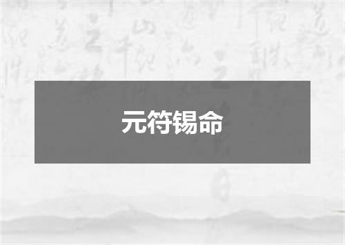 元符锡命