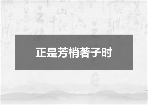 正是芳梢著子时