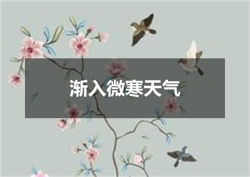 渐入微寒天气