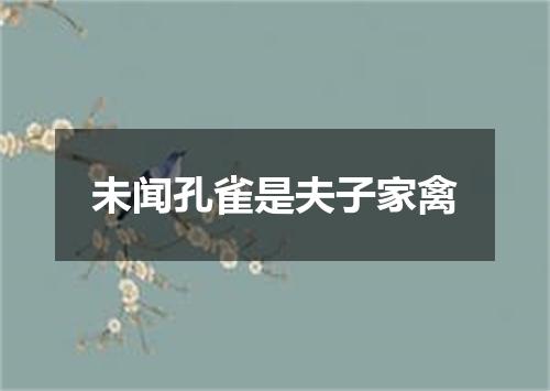 未闻孔雀是夫子家禽