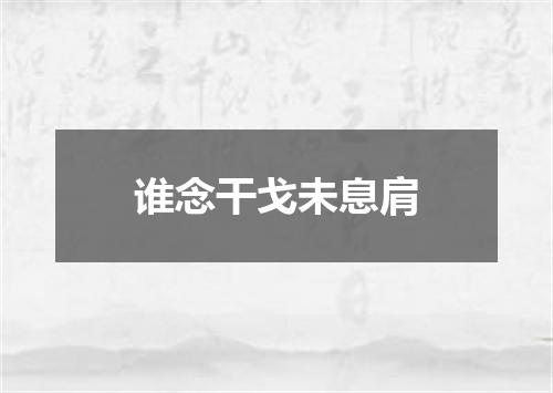 谁念干戈未息肩