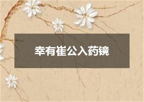 幸有崔公入药镜