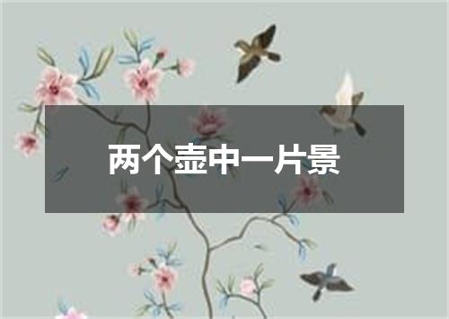 两个壶中一片景