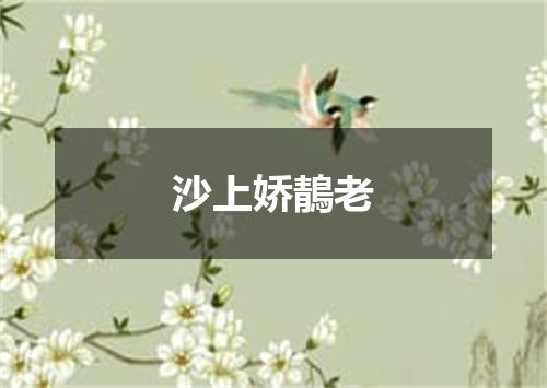 沙上娇鶄老