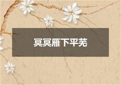 冥冥雁下平芜