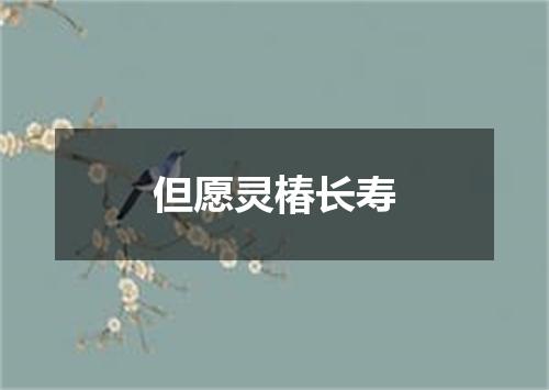 但愿灵椿长寿