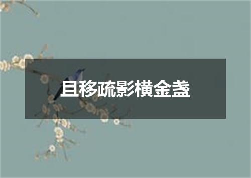 且移疏影横金盏