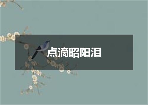 点滴昭阳泪
