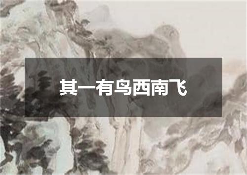 其一有鸟西南飞