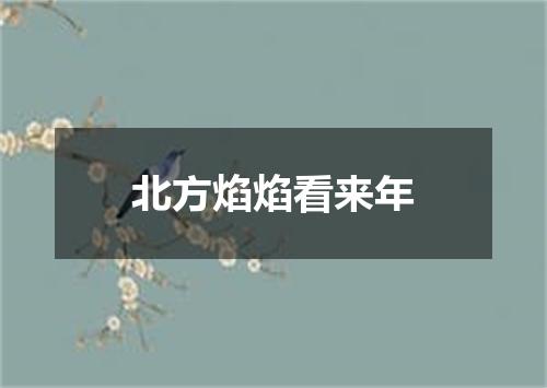 北方焰焰看来年