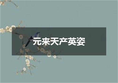 元来天产英姿