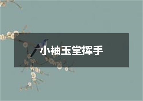 小袖玉堂挥手