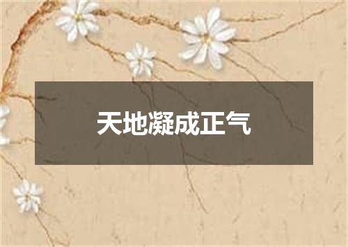 天地凝成正气