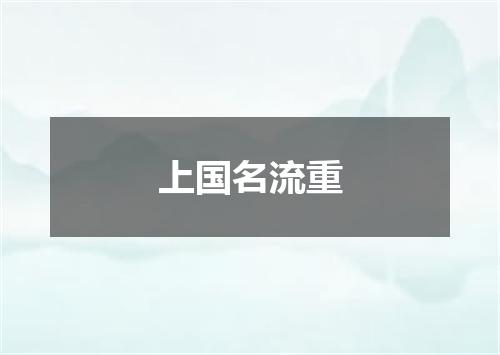 上国名流重