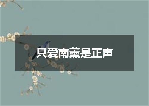只爱南薰是正声