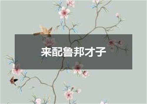 来配鲁邦才子