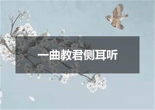 一曲教君侧耳听