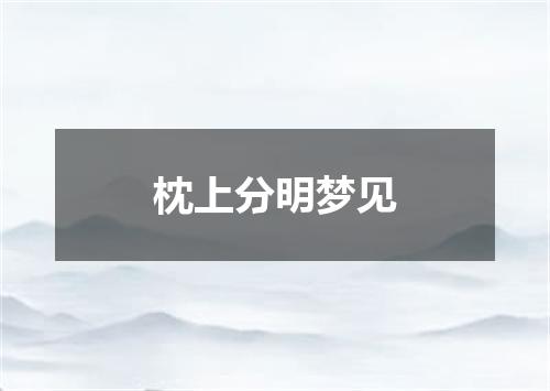 枕上分明梦见