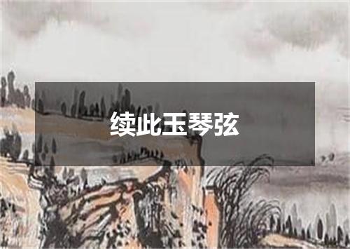 续此玉琴弦